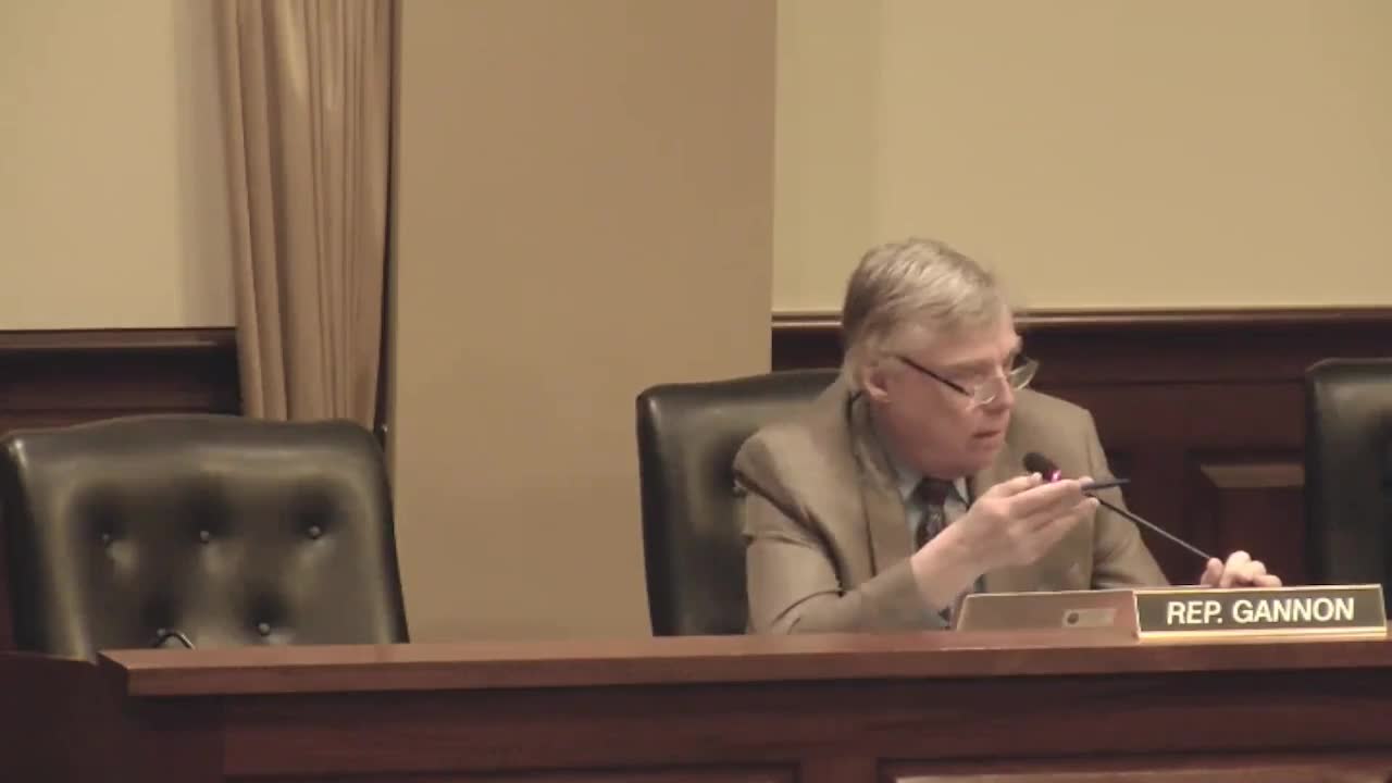 Idaho committee splits on Senate Bill 1180 amid discussions on front license plates