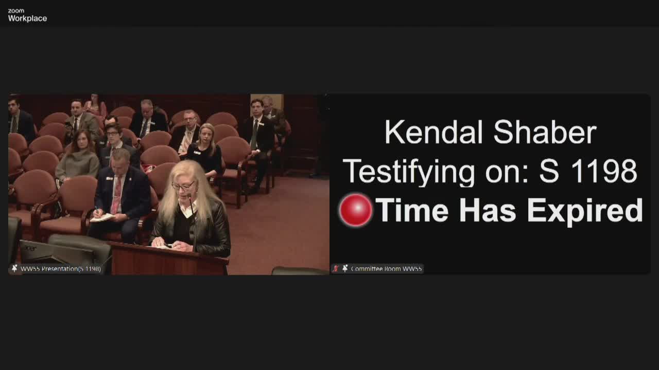 Southwest Idaho NOW opposes legislation threatening women's rights and equality