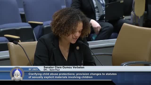 Minnesota Senate reviews legislation to update child abuse terminology and Survivor Justice Act