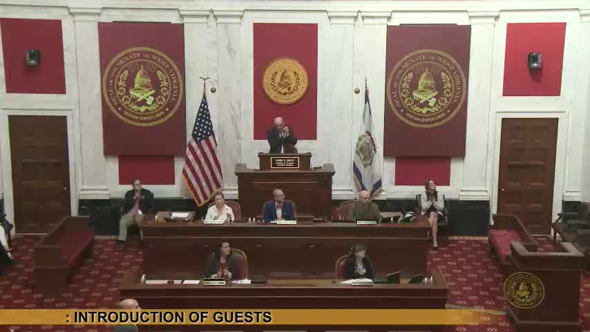 West Virginia Senate passes numerous bills including substance abuse intervention act