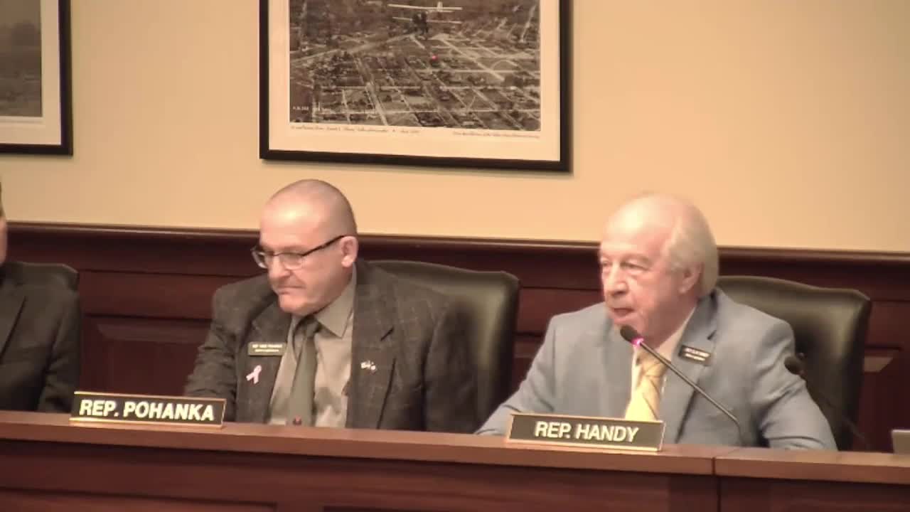 Idaho lawmakers debate safety implications of front license plates removal