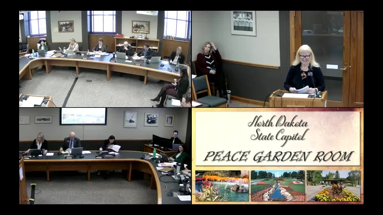 Senate Judiciary Committee recommends 'do not pass' on bill barring self‑defense claims by prohibited firearm possessors