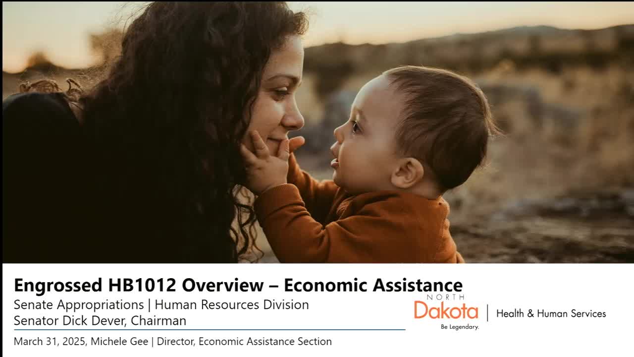 HHS economic assistance budget asks $547.5 million; committee pressed on federal matches, IT and child care costs