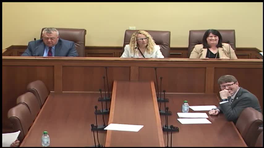 Arkansas House committee approves series of ceremonial resolutions honoring teams, programs and observances