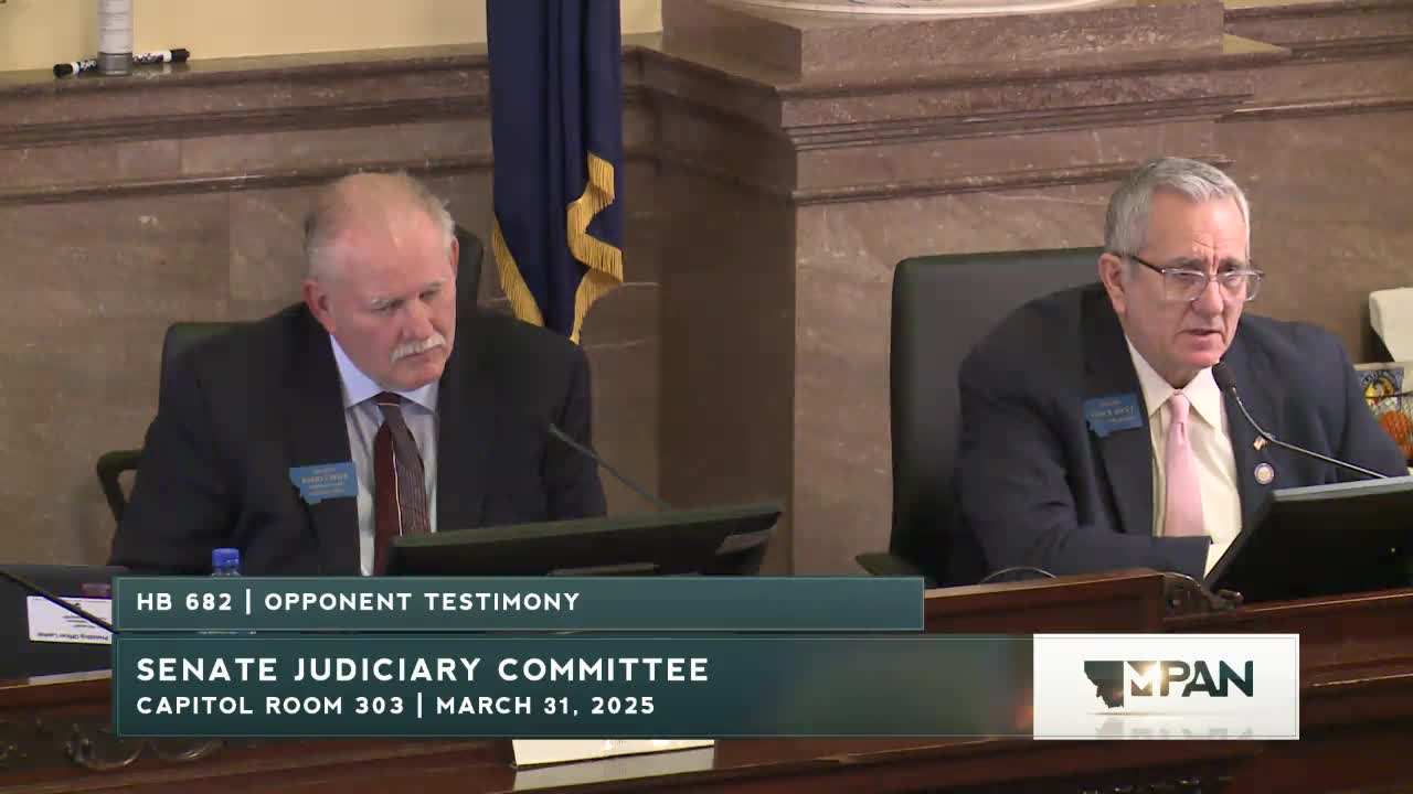 Sean Reagor advocates for gender-affirming care during Montana committee meeting