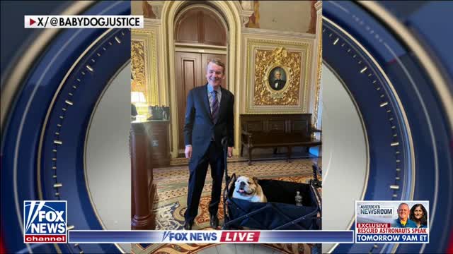 Senator Jim Justice says "Baby Dog" helped humanize lawmakers across the aisle