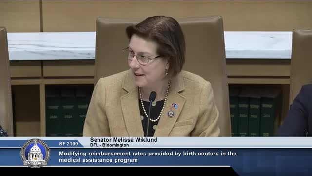 Senate committee supports birth center access bill to improve maternal care in Minnesota