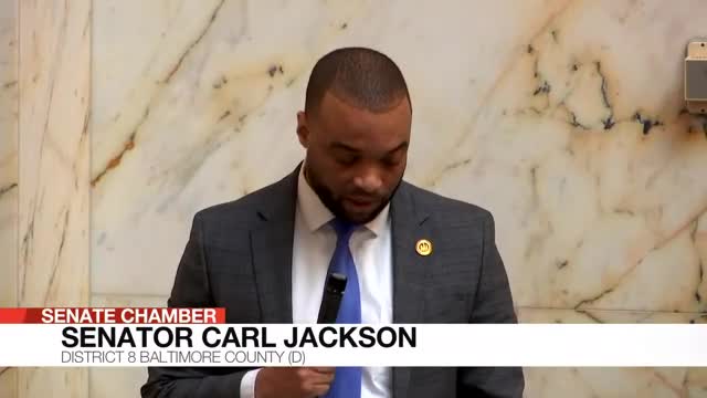 Maryland Senate debates fiscal year 2026 budget amid federal economic concerns