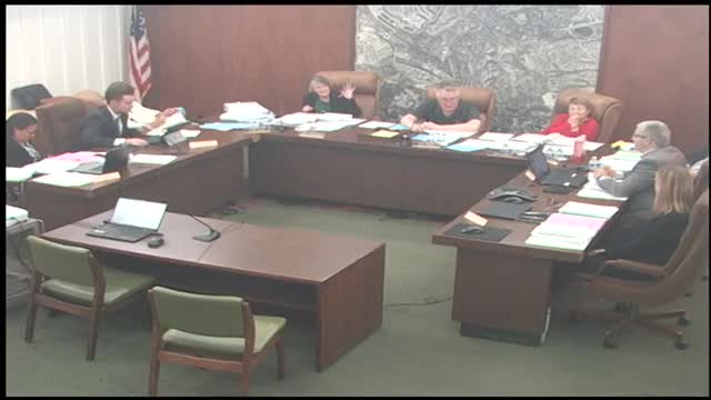 City Council weighs options for Eastfield Drive environmental compliance project