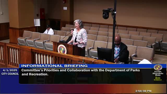 Parks committee lays out multi-year priorities: safety, standards, revenue and a parks special fund