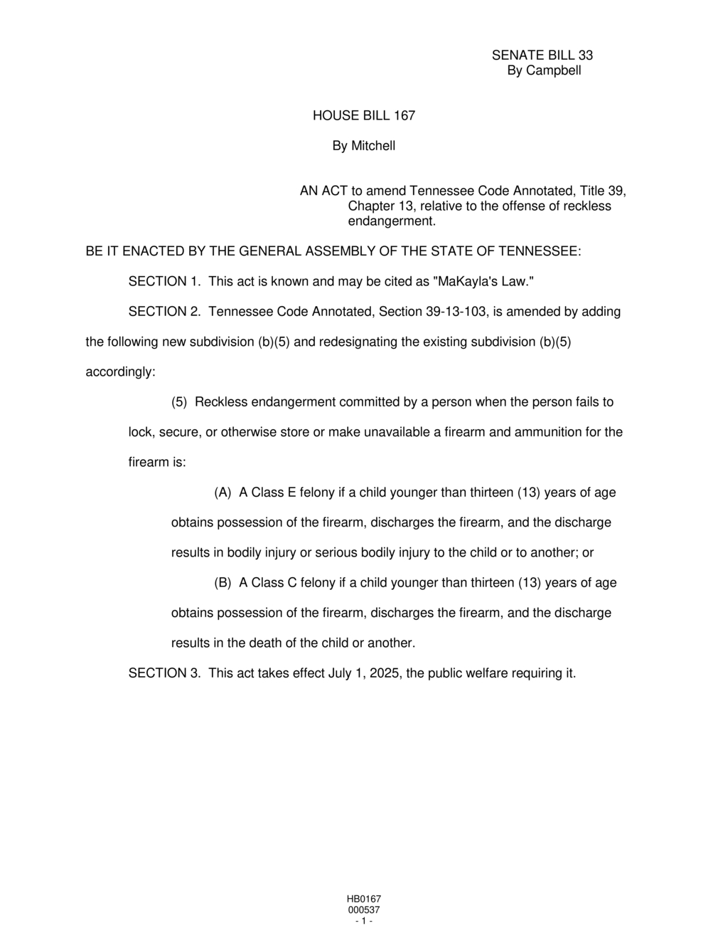 Tennessee General Assembly passes MaKayla's Law on firearm secure storage