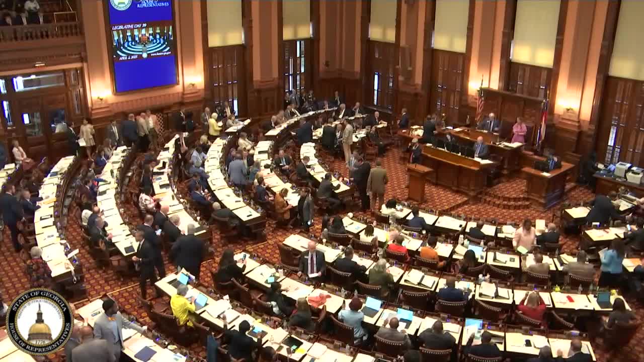 Georgia House honors community leaders, state champions and mental health advocates