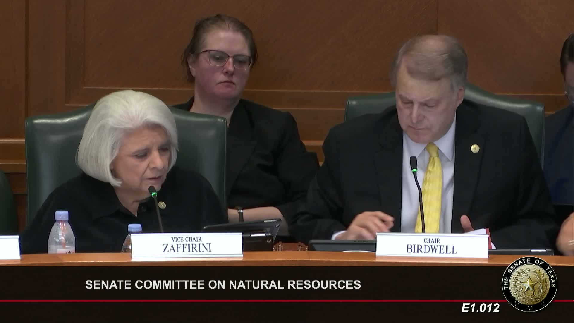 Jordan Vexler advocates for Senate Bill 2050 on lithium ion battery recycling in Texas