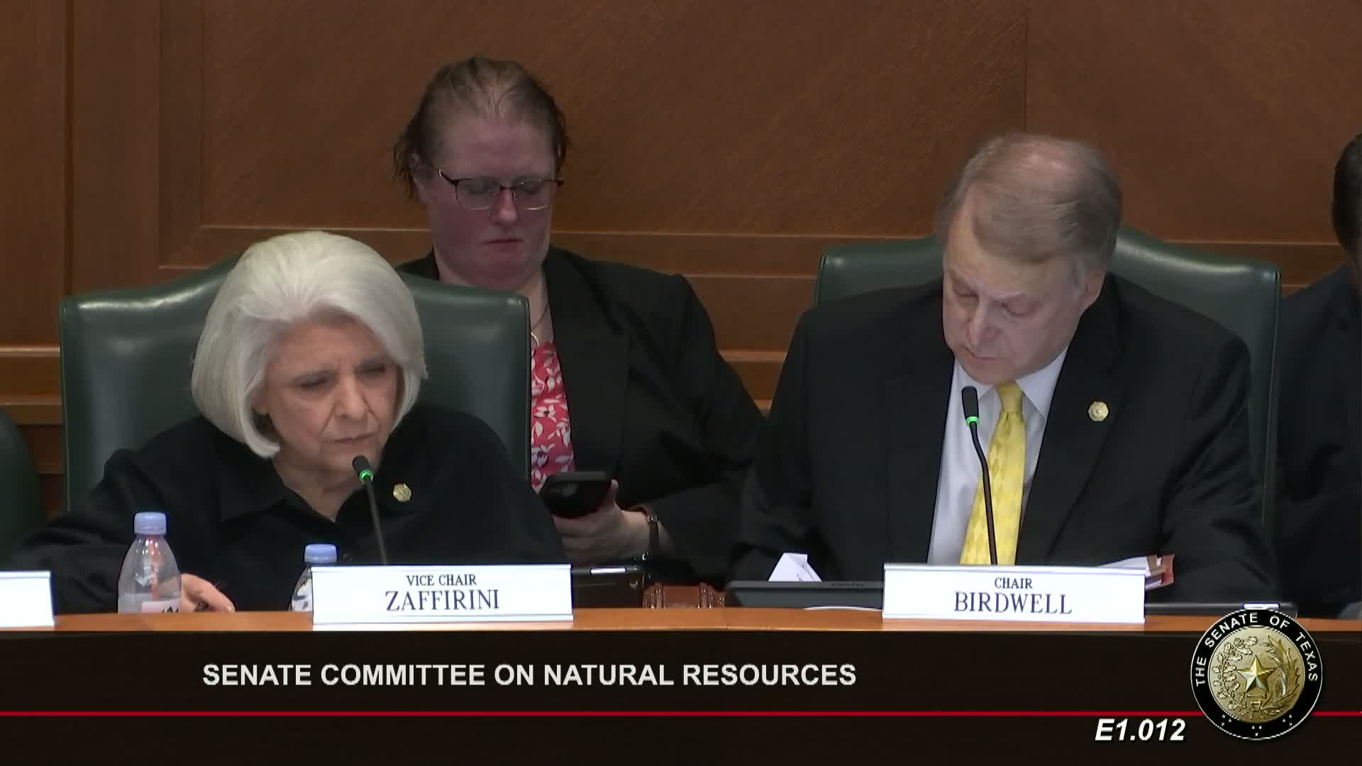 Senate committee hears Railroad Commission request to add fees for oil-and-gas waste permits; leaves bill pending