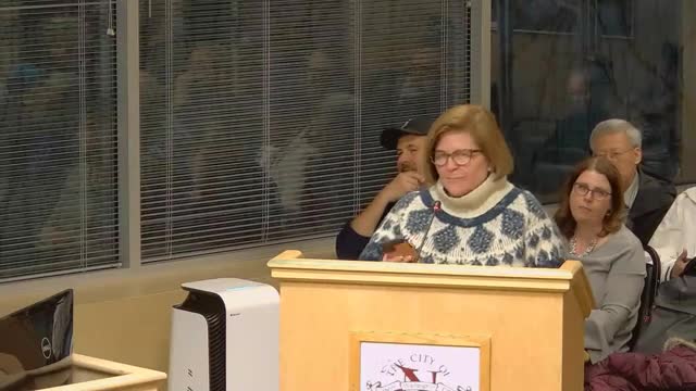 Sarah Goodman urges city council to install fire gate for Winfield Ridge safety