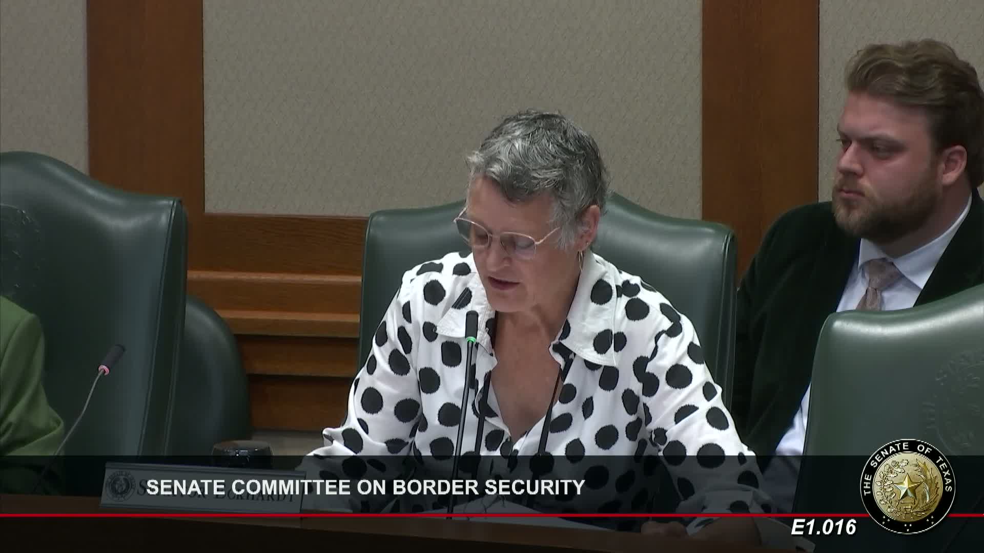 Texas Senate discusses $6M bill for additional border security personnel