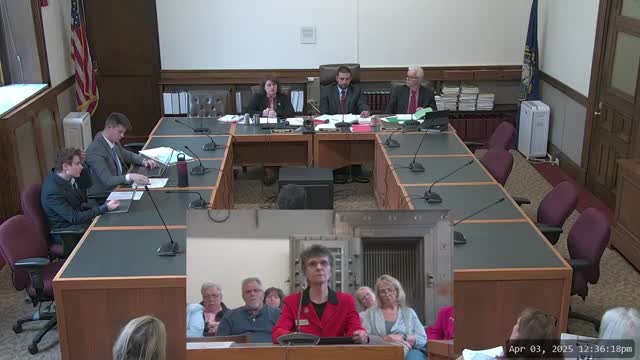New Hampshire representatives advocate for HB 486 to enhance grandparent visitation rights