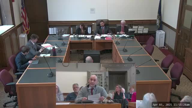 New Hampshire committee addresses domestic violence and false reporting concerns