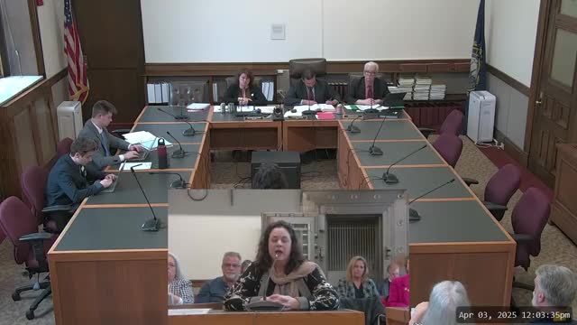 New Hampshire legislators debate family law reform amid calls for child protection measures