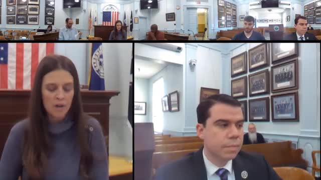 Mackay Park work stalled; committee keeps project update on agenda pending Verizon action