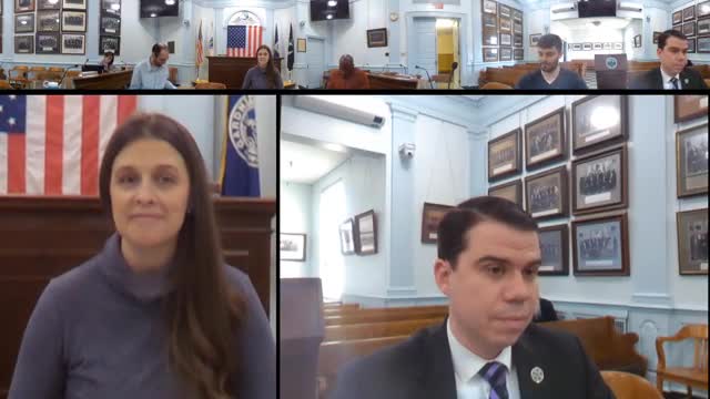 Committee keeps proposed economic development and finance manager position in review