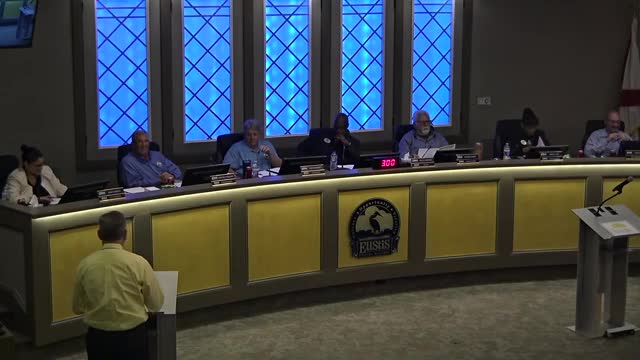 Mayor Hawkins leads discussion on commercial development and annexation moratorium