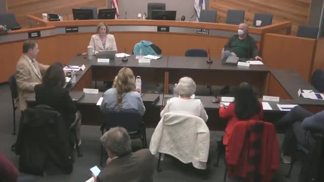 City manager proposes folding appointive committees under Citizens Advisory Committee as subcommittees