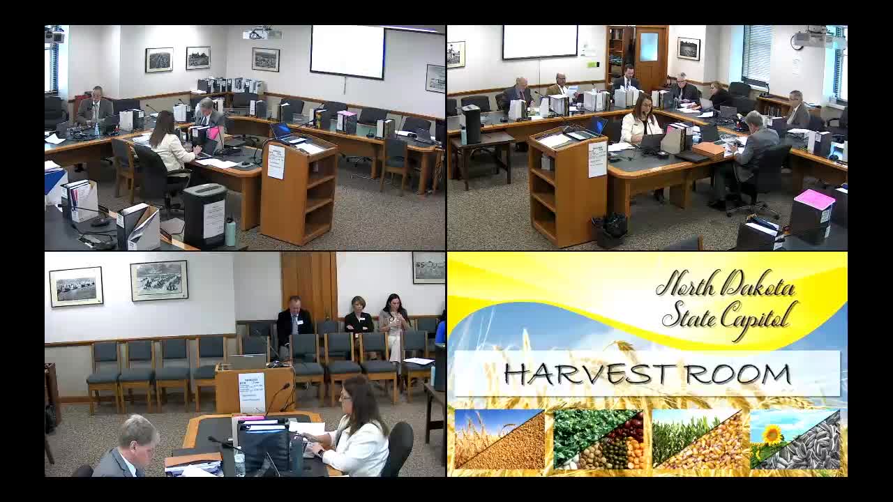 Human Services budget discussions: foster care projection, community cultural center funding and provider-rate debates