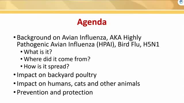Baltimore County officials urge backyard flock owners to tighten biosecurity, register birds and report sick poultry to Maryland Department of Agriculture