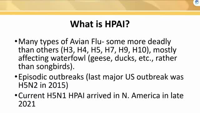 Experts warn of avian flu strains affecting birds and livestock across North America