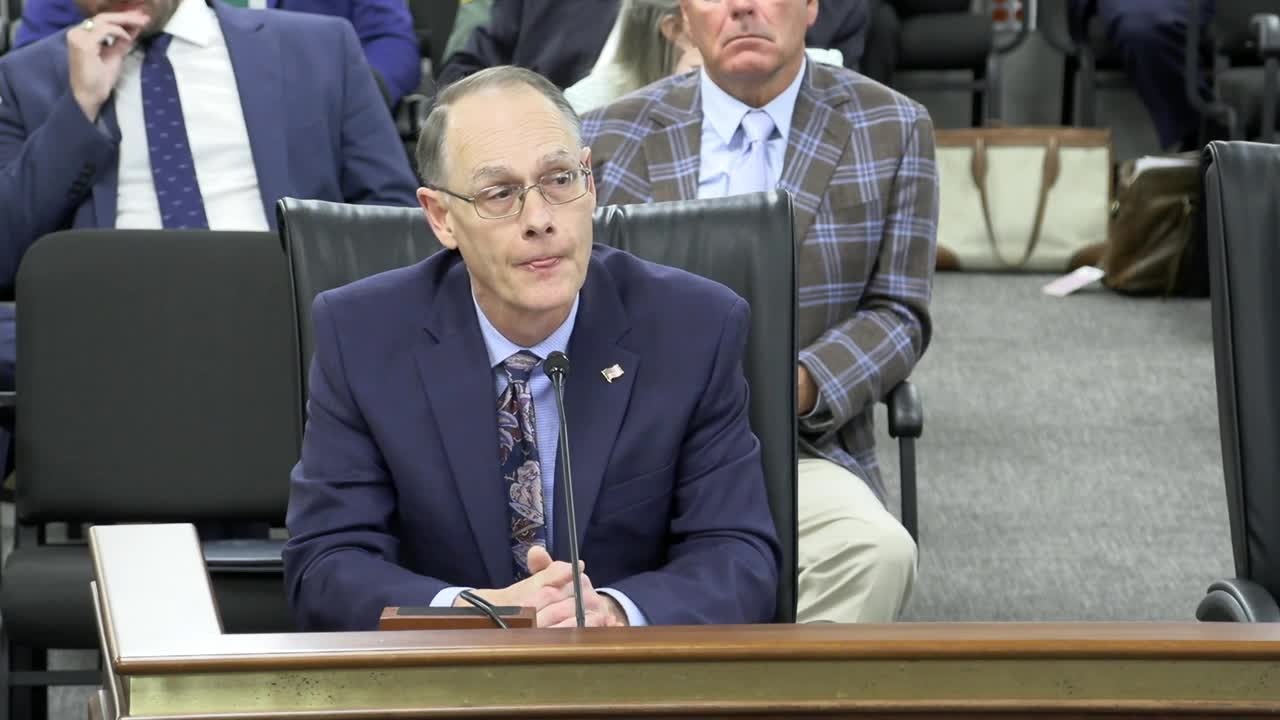 South Carolina official confirms absence of Black Panthers amid bear hunting discussions