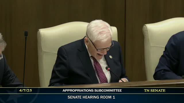 Appropriations subcommittee hearing: Yeager presents amendments for bridge repair, DSP pay, community health workers and small grants