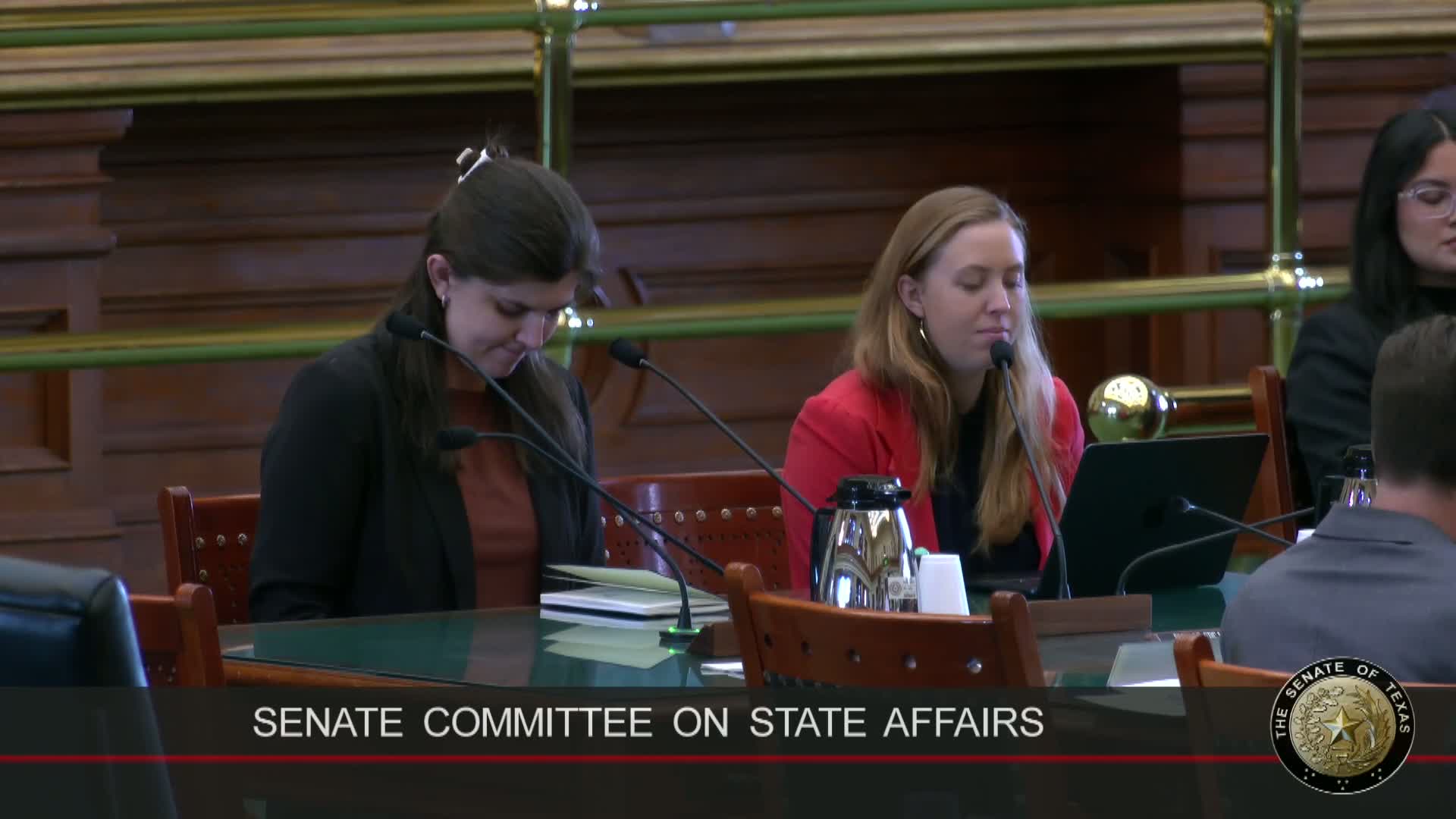 Megan Benton advocates Senate Bill 2626 for improved pregnancy care education