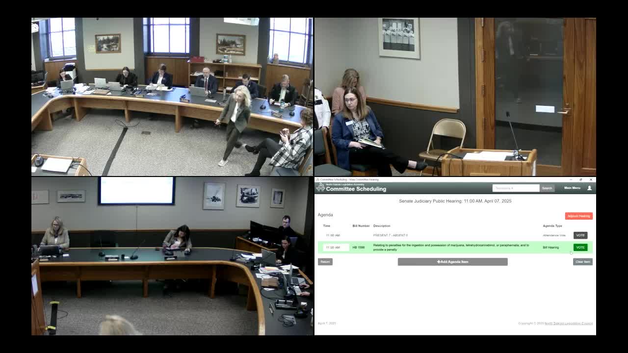 North Dakota Judiciary Committee discusses House Bill 1596 to simplify marijuana penalties
