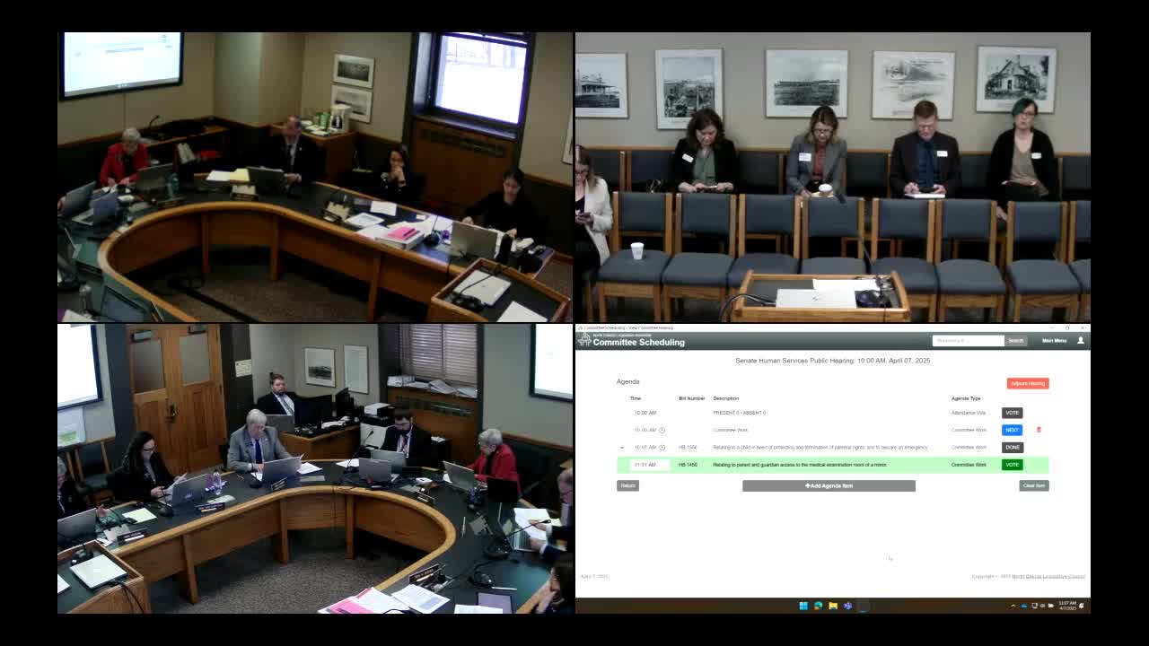 Senate committee debates definitions of child abuse and neglect in proposed amendments
