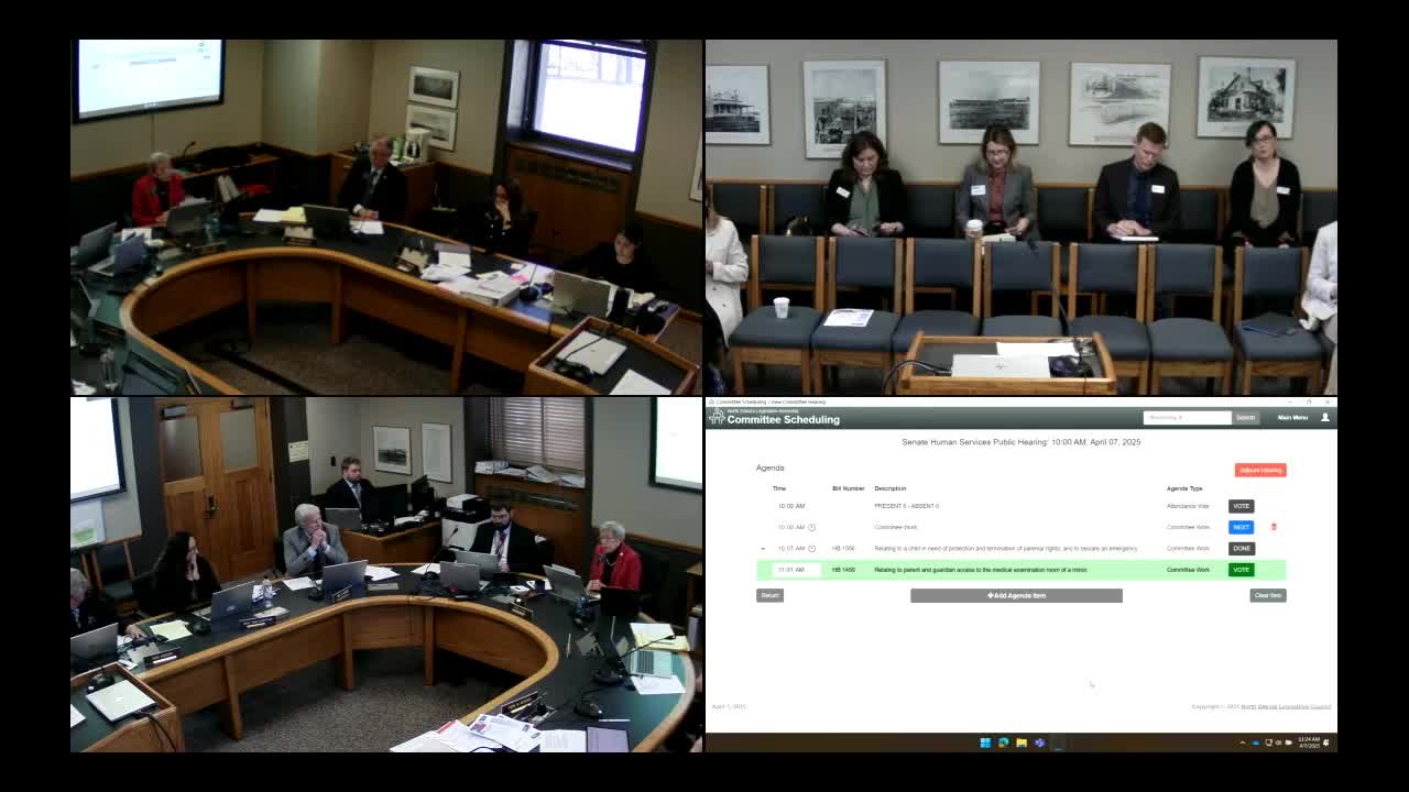Senate debates parental rights and child protection in proposed healthcare legislation