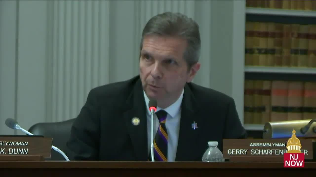 Constituents question constitutionality of strict gun laws targeting licensed owners