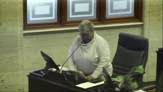 Legislature discusses urgent justice for victims of gender-based violence in Puerto Rico