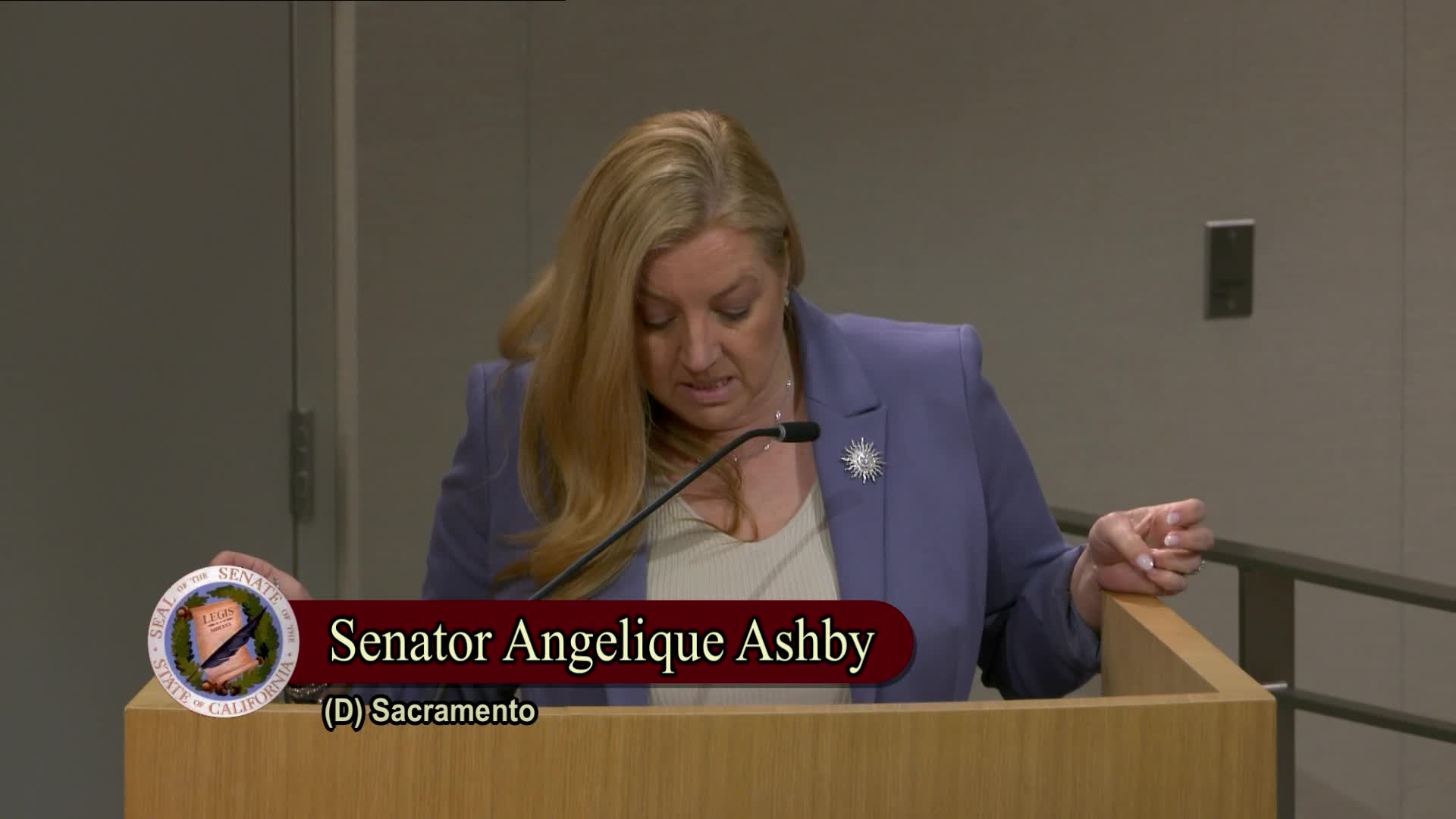 Senator Ashby champions SB 456 to exempt muralists from contractor licensing requirements