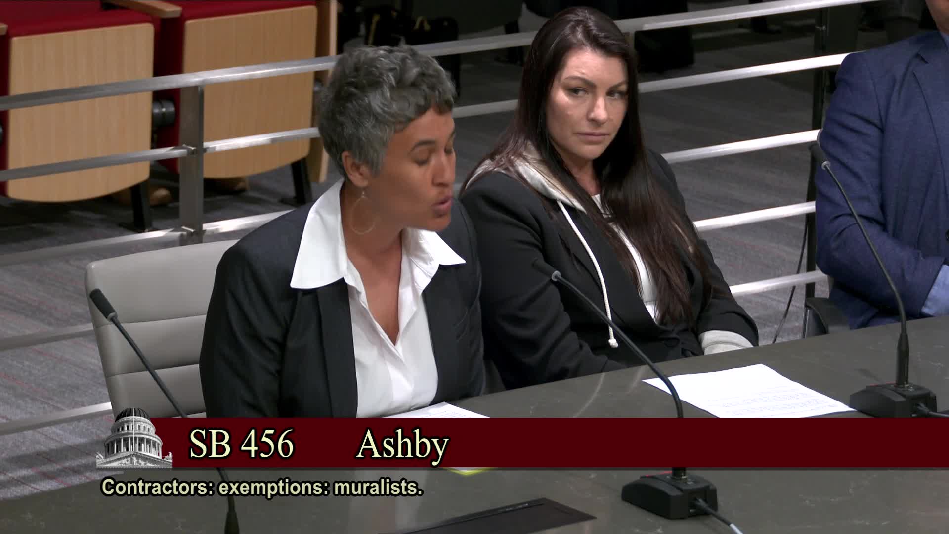 Senate committee discusses SB 456 to support California muralists and protect arts jobs