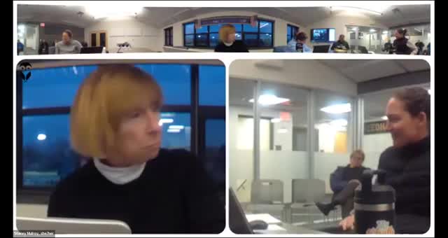 Needham baseball and softball leaders press Park and Rec for more field maintenance, funding