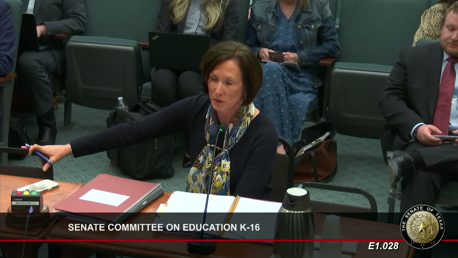 Senate bill would centralize school bond, tax and project data at TEA