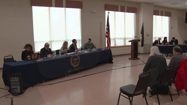 Boston City Council discusses senior programming needs in West Roxbury hearing