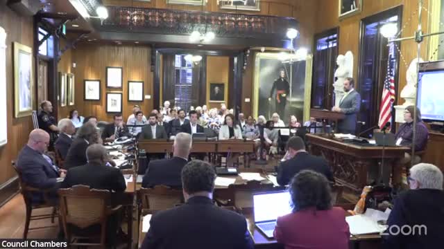 Charleston Council addresses safety and aesthetics concerns along Cleveland Avenue