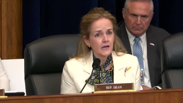 Critics denounce focus on DEI as wasteful use of time