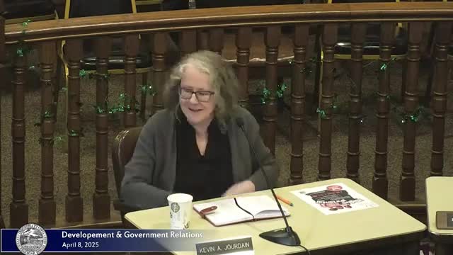 John Vilas highlights city funding needs at local council meeting