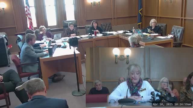 New Hampshire speakers oppose House Bill 324 targeting library book access for minors