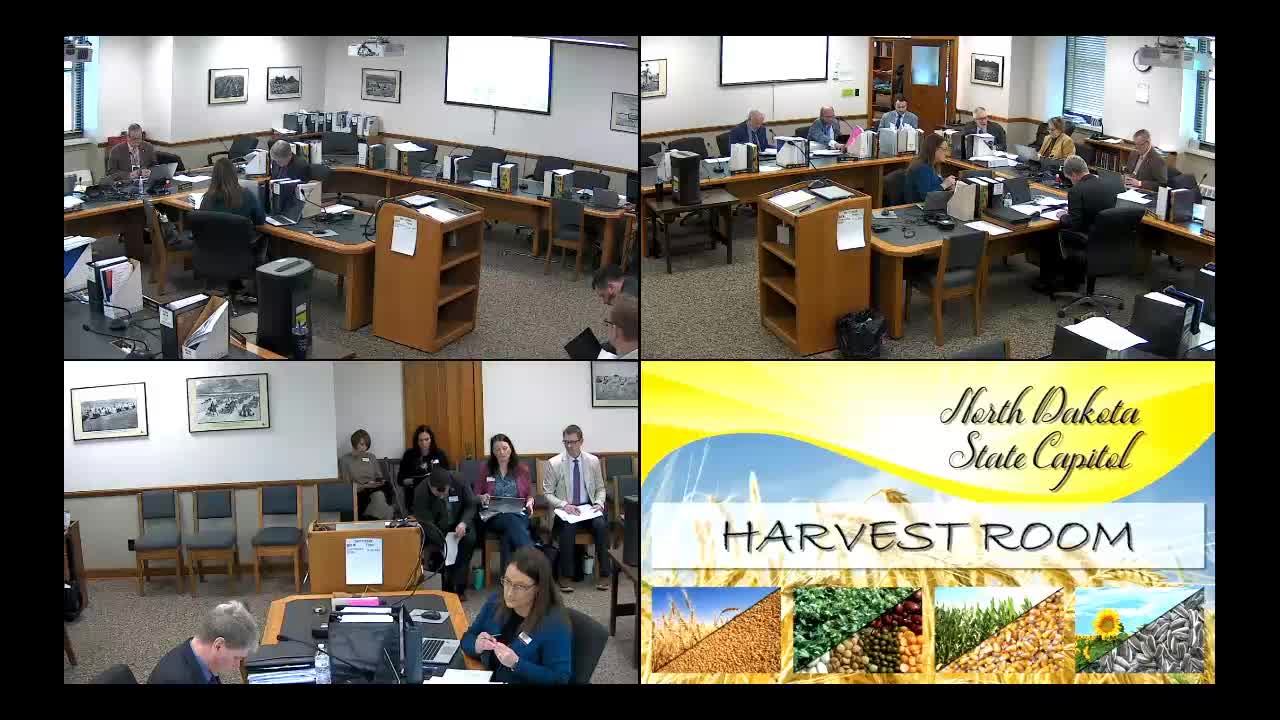 Appropriations panel trims general-fund ask, authorizes line of credit for child-welfare IT system