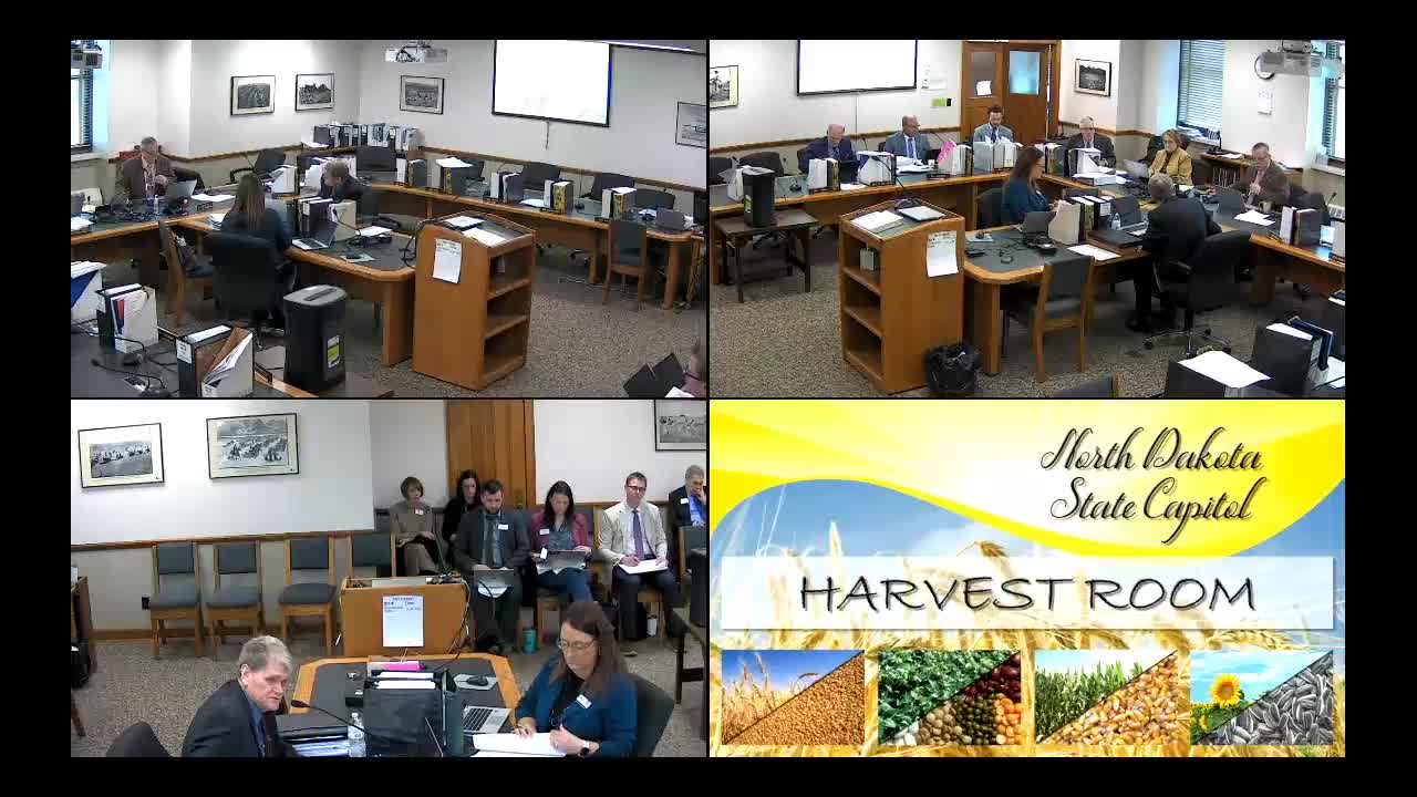 Subcommittee reviews Human Resources appropriations long sheets: provider inflation, basic‑care rate and grants adjusted