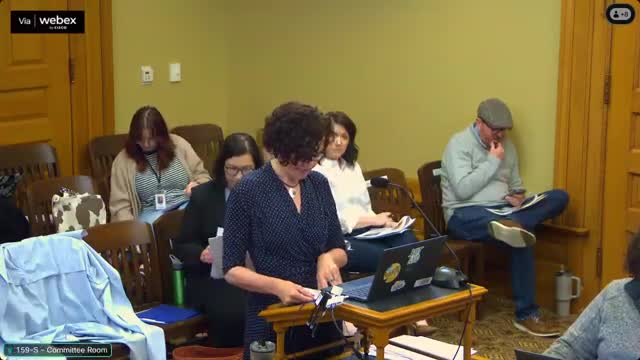 Kansas prioritizes investment in comprehensive prevention and mental health strategies